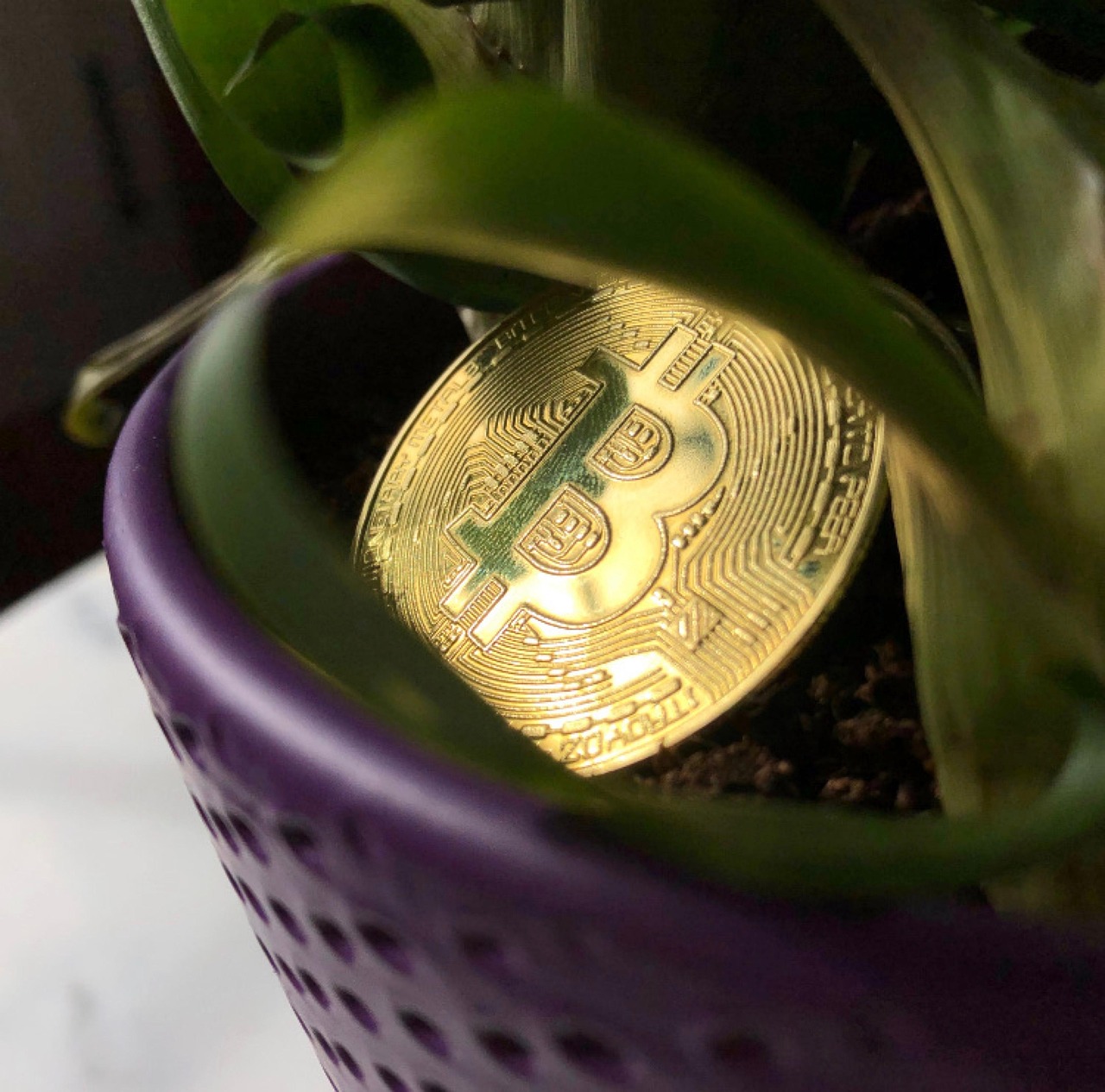 decentralized exchange wallet interface